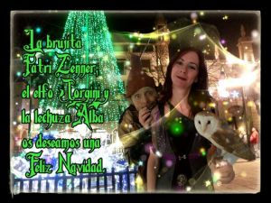 Lacasadelabrujita-Navidad 2013 (2)